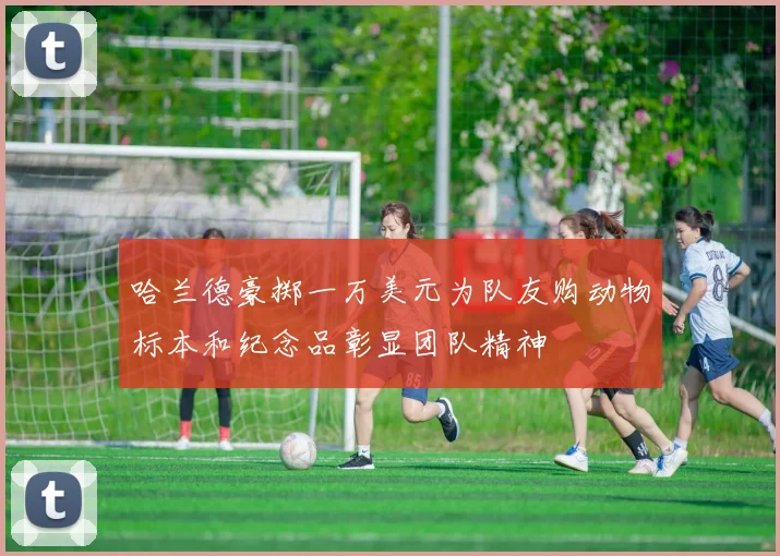 哈兰德豪掷一万美元为队友购动物标本和纪念品彰显团队精神